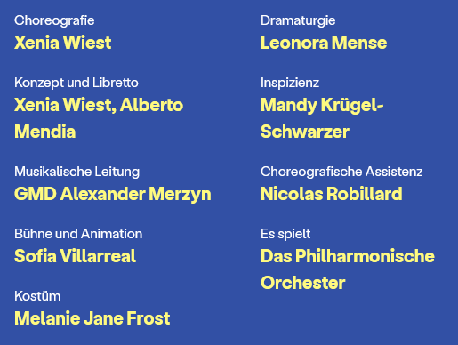 Staatstheater Cottbus, ASCHENBRÖDEL TEAM