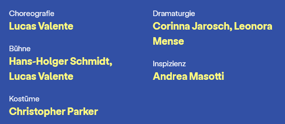Da Vinci - Team